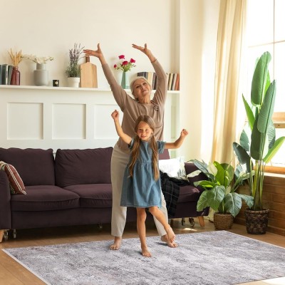 Luxe Area Rug for Living Room | Soft 8mm Pile, High-Density Wilton Woven Carpet | Fade Resistant, Luxury Geometric & Distressed Design for Bedroom, Hallway & Kitchen (ASH GRAY, 80X150) – Light Gray – 80 x 150 cm (Rectangular)