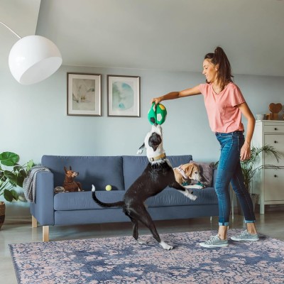 Machine Washable Area Rug for Living Room, Bedroom & Kitchen - Non Slip – 4 mm Low Pile Carpet - Vintage Rug - Pet Friendly & Kid Friendly Rugs (BLUE, 80X150) – Burgundy – 80 x 150 cm (Rectangular)