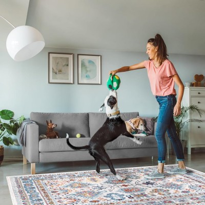 Area Rugs For Living Room, Bedroom, Kitchen, Dining Room | Oriental Design Carpet | Soft Medium Pile | Traditional Vintage Rug | Stain Resistant (Cream Blue, 160X230 CM) – 120 x 180 cm (Rectangular) – White Blue