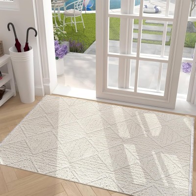 Area Rug for Living Room – Fluffy Area Rug, Modern Carpet for Bedroom & Home | Non-Shedding, Shed-Resistant Large Area Rugs for Living Room, Hallway & Office Decor (BEIGE, 80X150) – Silver Gray – 80 x 150 cm (Rectangular)