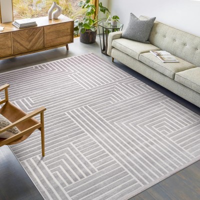 Area Rug for Living Room – Soft Plush Area Rug, Modern Carpet for Bedroom & Home | Non-Shedding, Shed-Resistant Large Area Rugs for Living Room, Hallway & Office (LIGHT GRAY, 160X230) – Blush Beige – 80 x 150 cm (Rectangular)